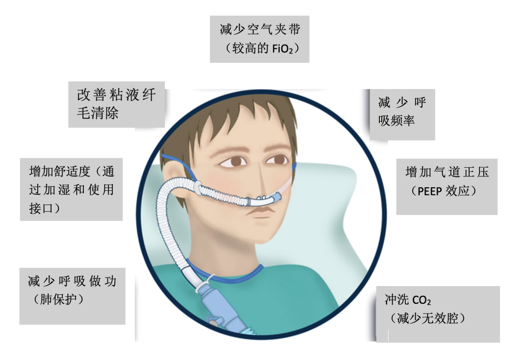 高流量呼吸濕化治療儀