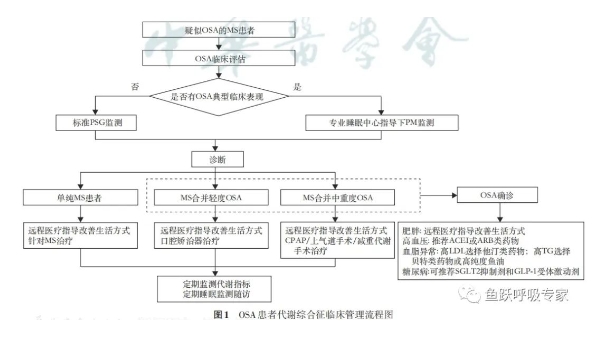 高流量呼吸濕化治療儀