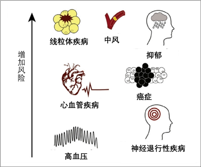 無創(chuàng)呼吸機