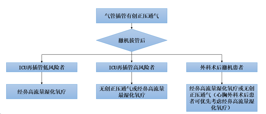 無創(chuàng)呼吸機(jī),高流量呼吸濕化治療儀,睡眠監(jiān)測