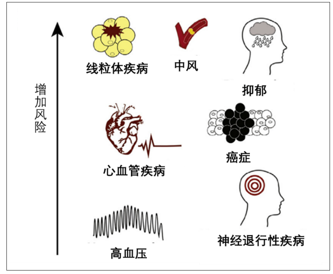 無(wú)創(chuàng)呼吸機(jī),高流量呼吸濕化治療儀,睡眠監(jiān)測(cè)