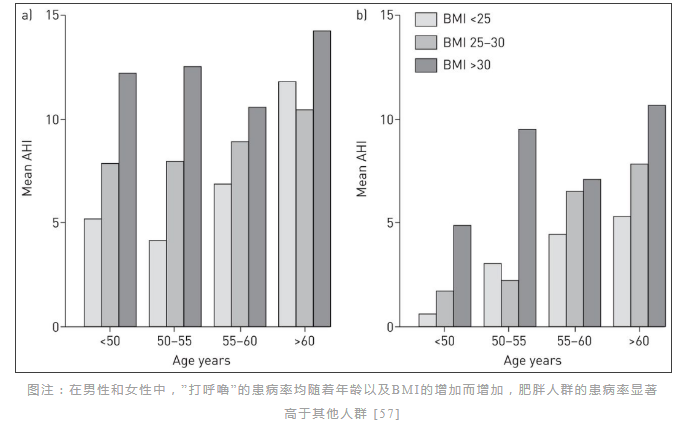 無(wú)創(chuàng)呼吸機(jī),高流量呼吸濕化治療儀,睡眠監(jiān)測(cè)