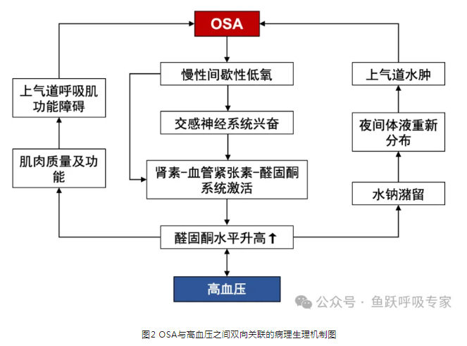 無(wú)創(chuàng)呼吸機(jī),高流量呼吸濕化治療儀,睡眠監(jiān)測(cè)