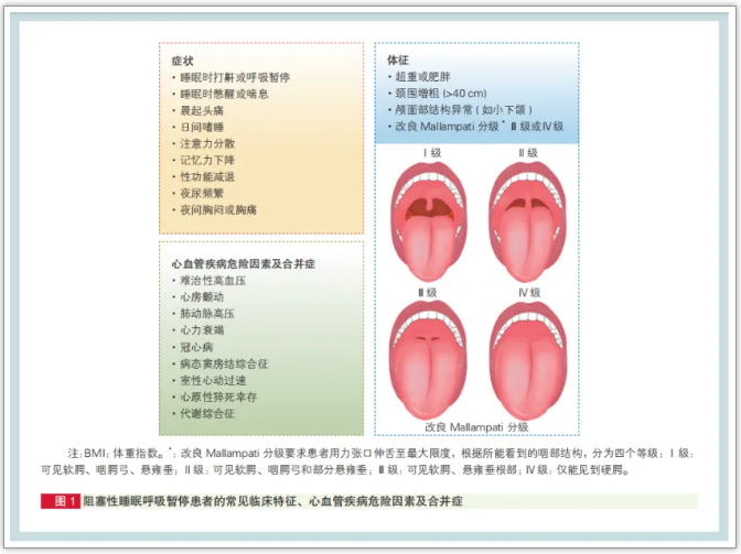 無創(chuàng)呼吸機,高流量呼吸濕化治療儀,睡眠監(jiān)測