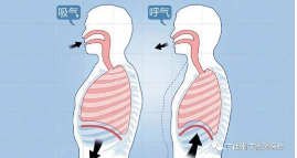 無(wú)創(chuàng)呼吸機(jī),高流量呼吸濕化治療儀,睡眠監(jiān)測(cè)